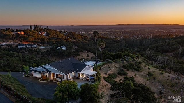 bird's eye view