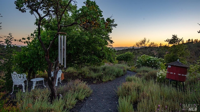 view of yard at dusk