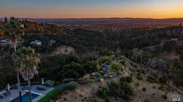 aerial view at dusk with a wooded view