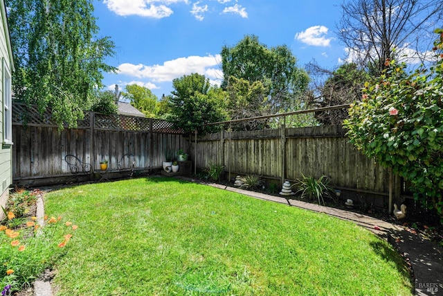 view of yard with a fenced backyard