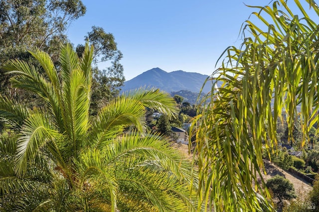 220 Deer Park Ave, San Rafael, CA 94901 - mountain view