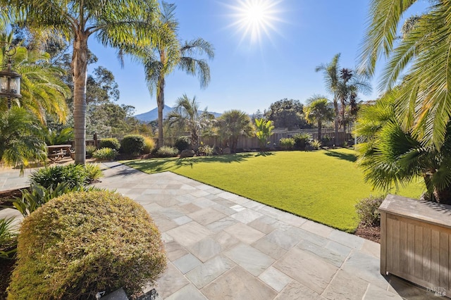 220 Deer Park Ave, San Rafael, CA 94901 - view of yard with a patio