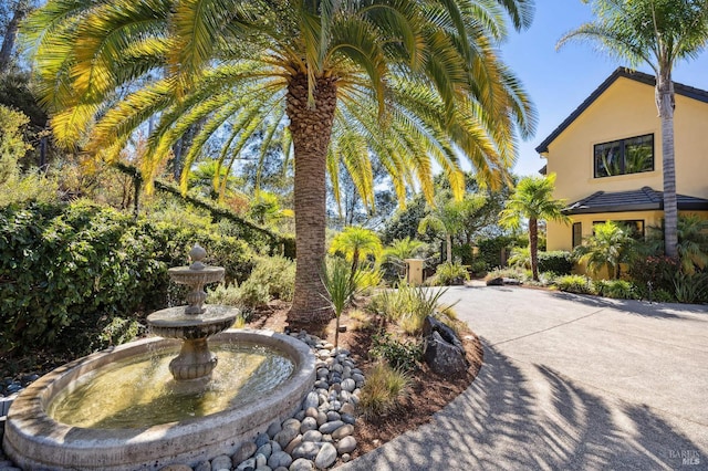 220 Deer Park Ave, San Rafael, CA 94901 - view of yard