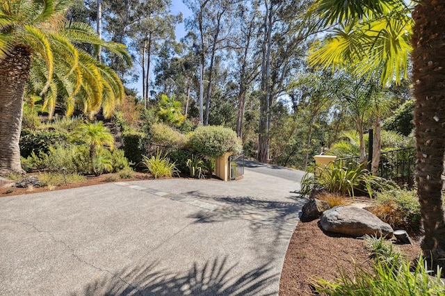 220 Deer Park Ave, San Rafael, CA 94901 - view of asphalt driveway