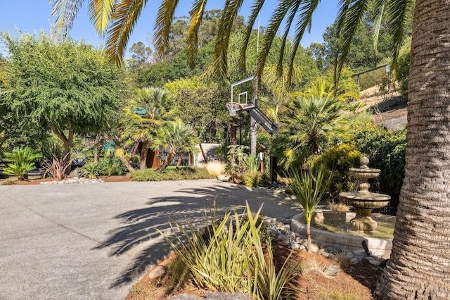 220 Deer Park Ave, San Rafael, CA 94901 - view of patio / terrace featuring basketball hoop