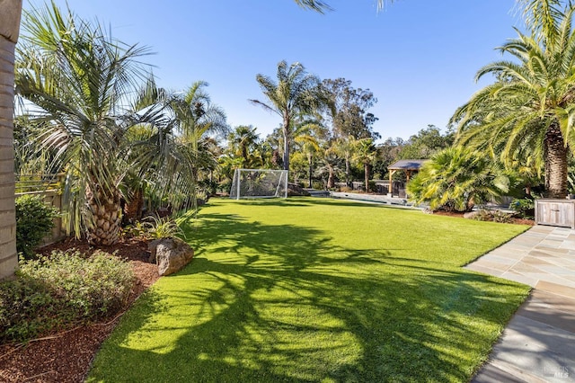 220 Deer Park Ave, San Rafael, CA 94901 - view of yard featuring an area for soccer and fence
