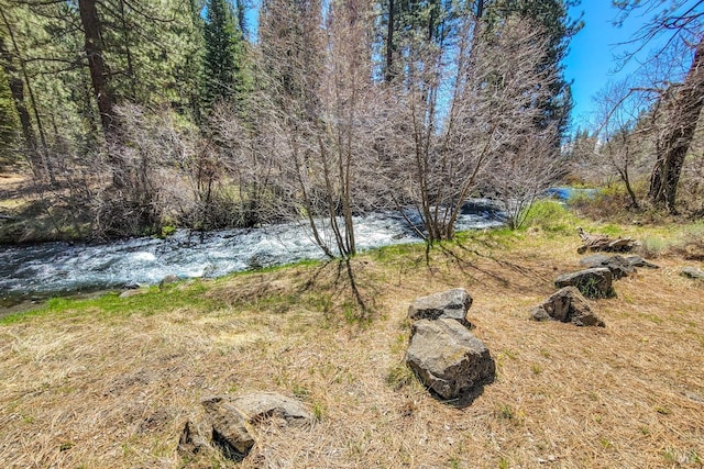 12321 Big Springs Blvd, Old Station, CA 96071 - view of yard