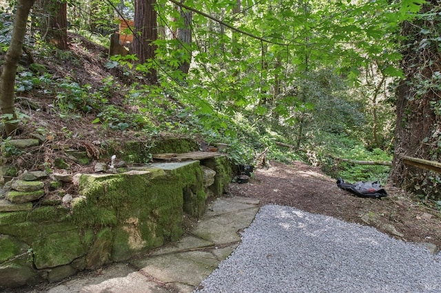 view of yard with a view of trees