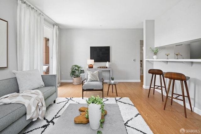 living room with baseboards and wood finished floors