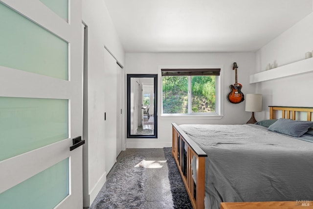 22855 Chianti Rd, Geyserville, CA 95441 - bedroom with carpet flooring, baseboards, and a closet