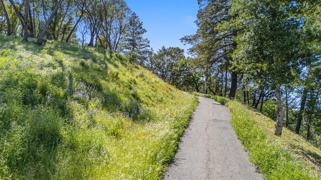 22855 Chianti Rd, Geyserville, CA 95441 - view of street