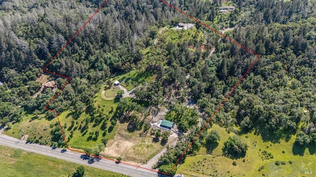 22855 Chianti Rd, Geyserville, CA 95441 - aerial view of property's location with property boundaries highlighted and a forest