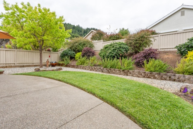 view of yard featuring a patio area and a fenced backyard