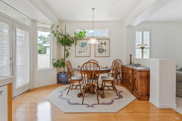 dining room featuring baseboards, a wealth of natural light, and wood finished floors