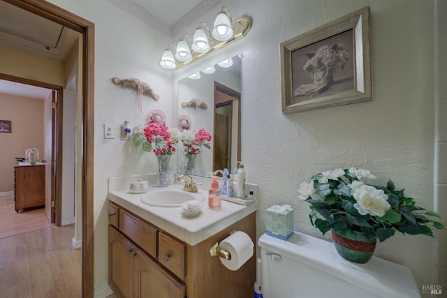 bathroom featuring toilet, vanity, and wood finished floors