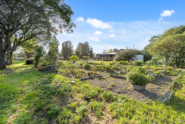 2265 Schaeffer Rd, Sebastopol, CA 95472 - view of yard with a garden