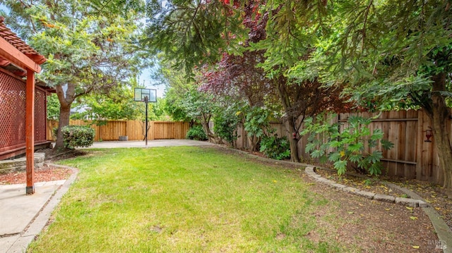 3087 Pecan Cir, Fairfield, CA 94533 - view of yard with a patio and a fenced backyard