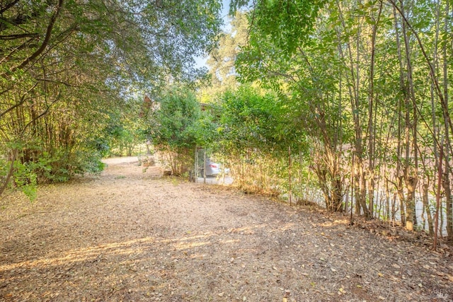104 Rose Ln, Napa, CA 94574 - view of yard