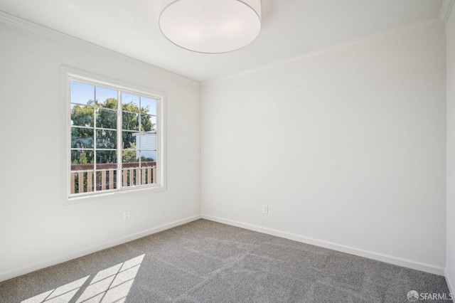 480 Cypress Ave, San Bruno, CA 94066 - unfurnished room featuring ornamental molding, carpet flooring, and baseboards