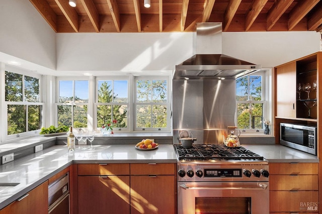kitchen with wall chimney range hood, stainless steel appliances, wood ceiling, and stainless steel countertops