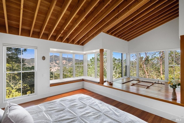 sunroom with high vaulted ceiling and wood finished floors