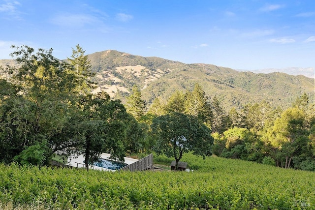 property view of mountains with a view of trees