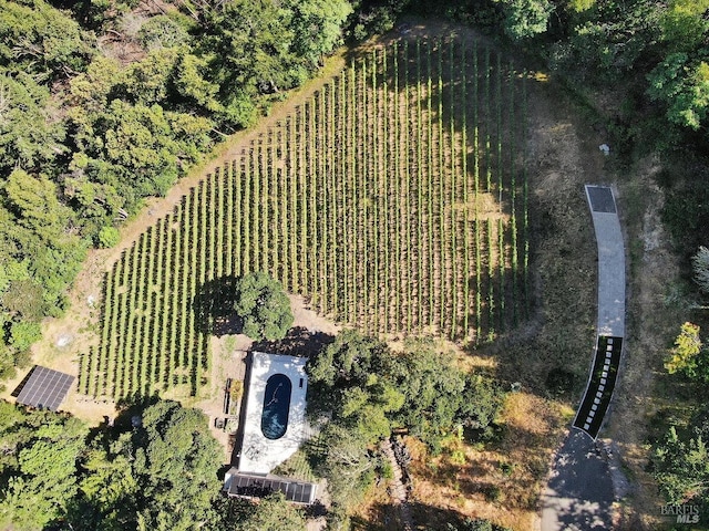 drone / aerial view featuring a rural view