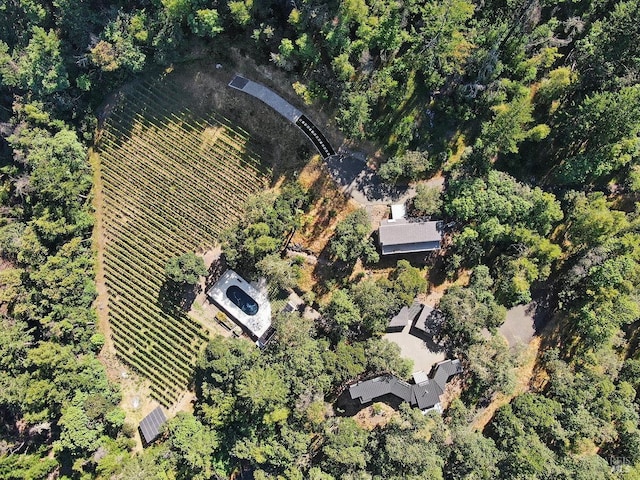 bird's eye view