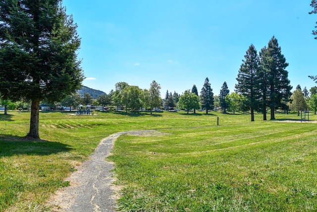 2555 Edgewater Dr, Napa, CA 94558 - view of home's community featuring a yard