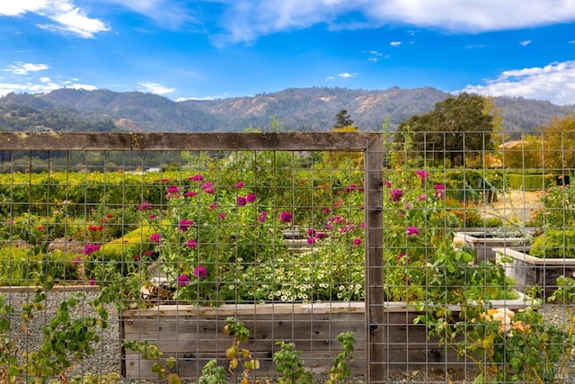 1851 Vallejo St, Saint Helena, CA 94574 - view of yard with a garden and a mountain view