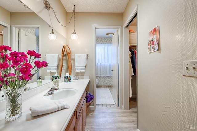 bathroom featuring vanity, a walk in closet, and wood finished floors