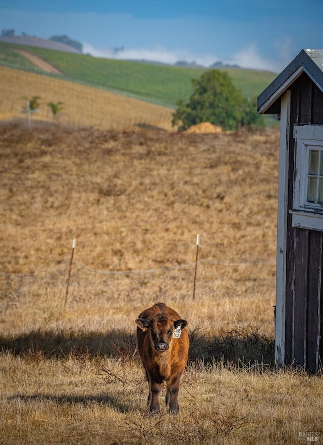 view of yard featuring a rural view