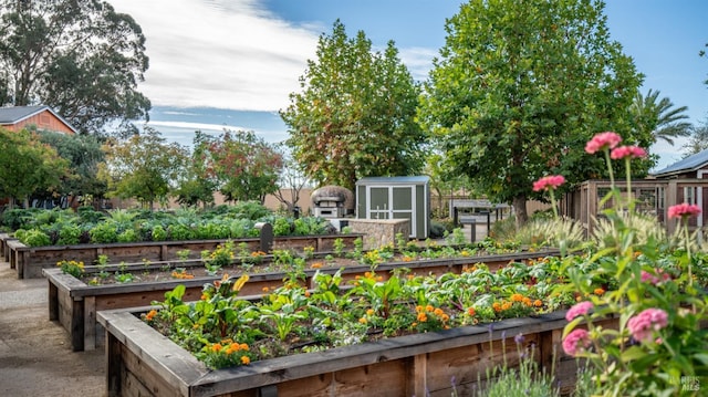 view of property's community featuring a storage shed, a garden, and an outdoor structure