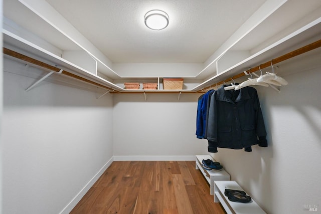 walk in closet featuring wood finished floors
