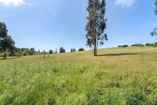 view of nature with a rural view