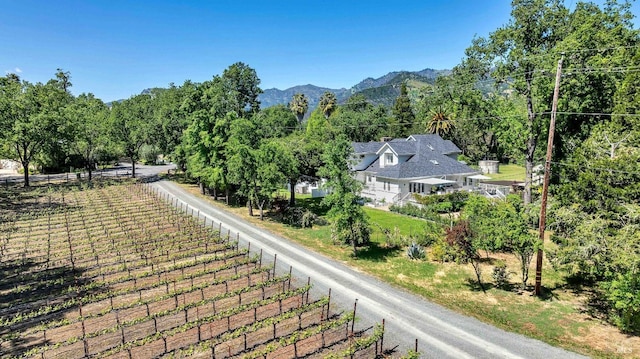 1071 Bale Ln, Calistoga, CA 94515 - exterior space