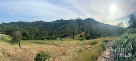 property view of mountains