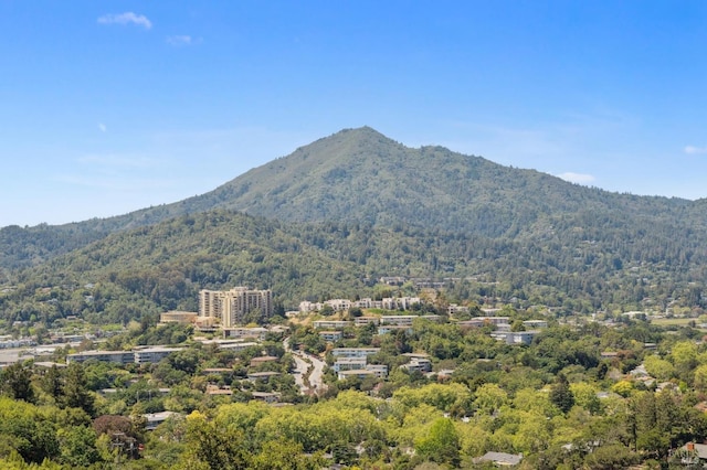271 Via La Paz Rd, Greenbrae, CA 94904 - mountain view featuring a wooded view