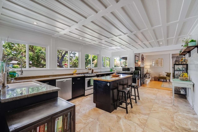 interior space featuring a healthy amount of sunlight and a sink