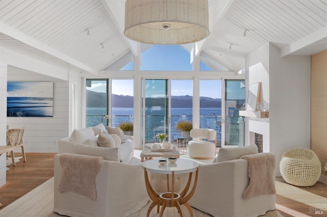 27 W Shore Rd, Belvedere, CA 94920 - living area with wood finished floors, a water and mountain view, and a fireplace
