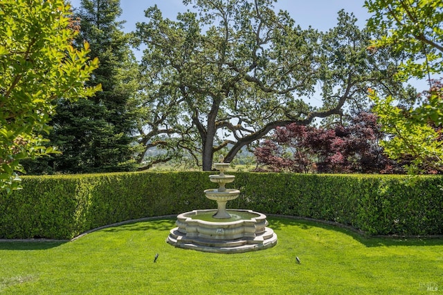 175 4th St E, Sonoma, CA 95476 - view of yard