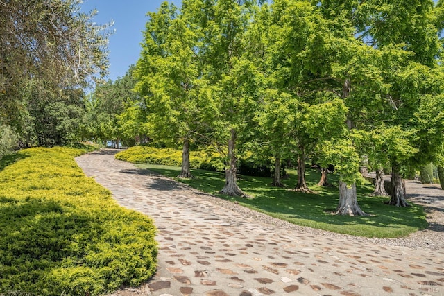 175 4th St E, Sonoma, CA 95476 - view of home's community with a lawn