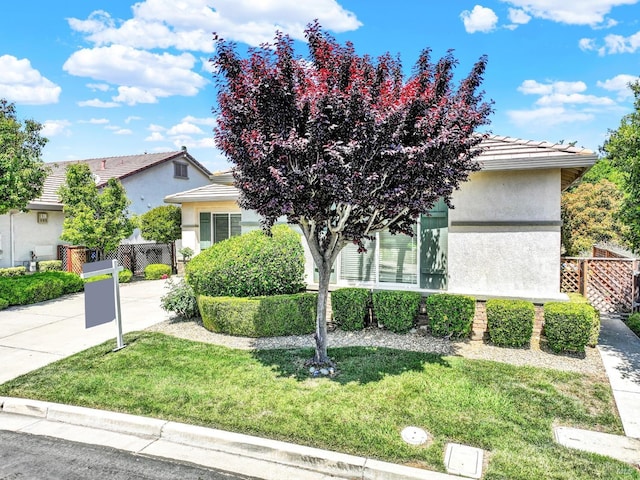 view of property hidden behind natural elements with stucco siding, a front lawn, and fence