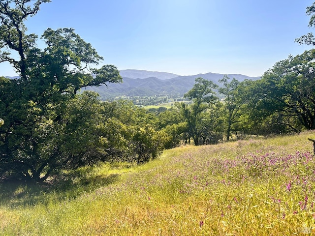 10504 Bachelor Valley Rd, Upper Lake, CA 95493
