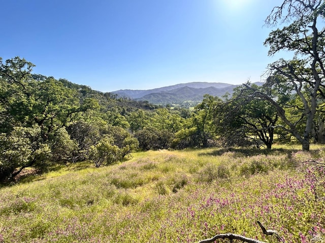 10504 Bachelor Valley Rd, Upper Lake, CA 95493