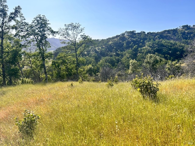 10504 Bachelor Valley Rd, Upper Lake, CA 95493