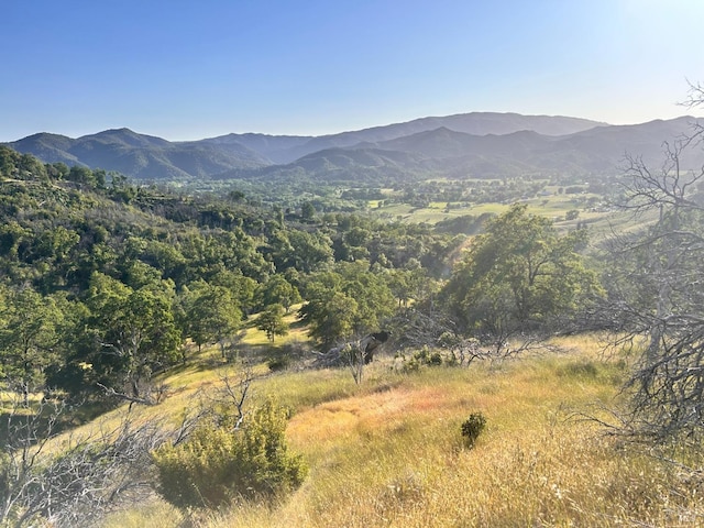 10504 Bachelor Valley Rd, Upper Lake, CA 95493