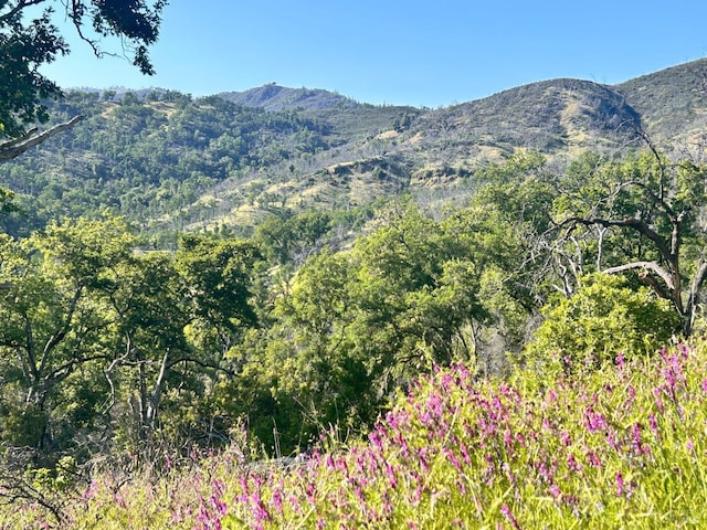 10504 Bachelor Valley Rd, Upper Lake, CA 95493