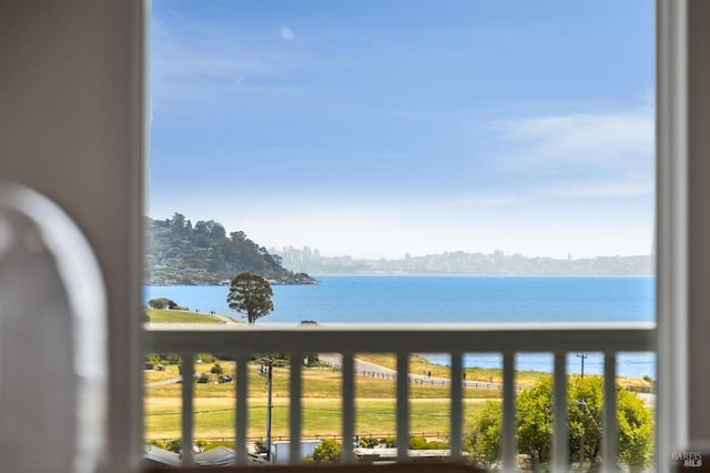 46 Lower N Ter, Tiburon, CA 94920 - view of water feature