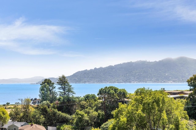 46 Lower N Ter, Tiburon, CA 94920 - view of water feature with a mountain view